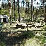 Borovi
