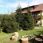 Apartment Borovi