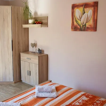 Apartment Borovi