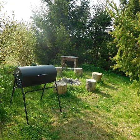 Apartment Borovi