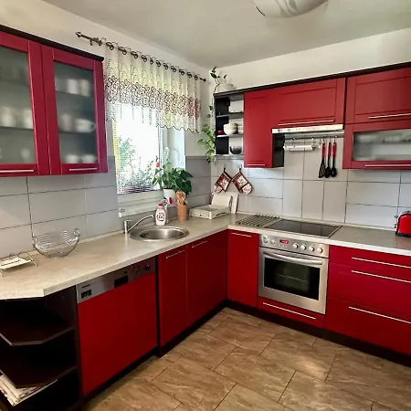 Apartment Borovi