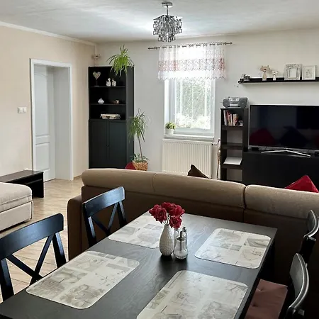 Apartment Borovi *