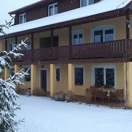 Borovi *