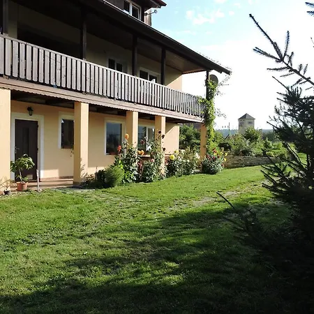 Apartment Borovi *