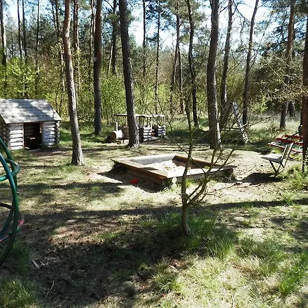 Borovi
