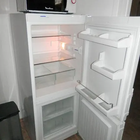 Apartment Borovi *