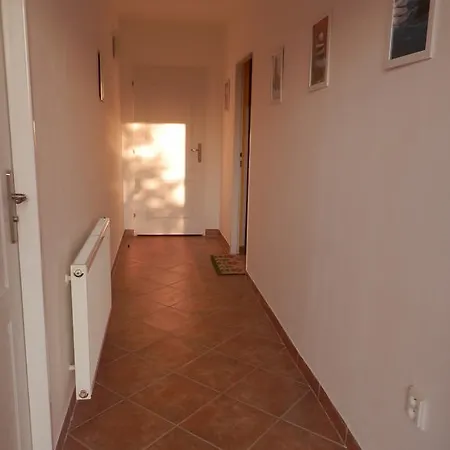 Apartment Borovi *