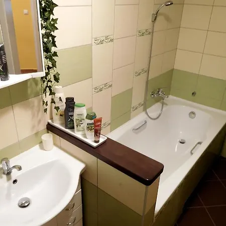 Apartment Borovi