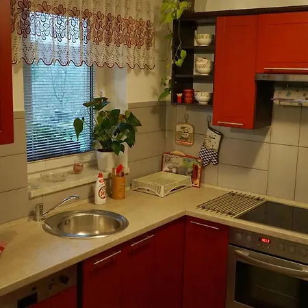 Lägenhet Borovi