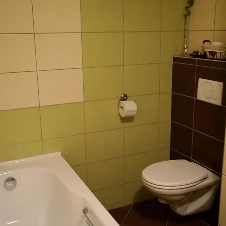 Borovi Apartment *