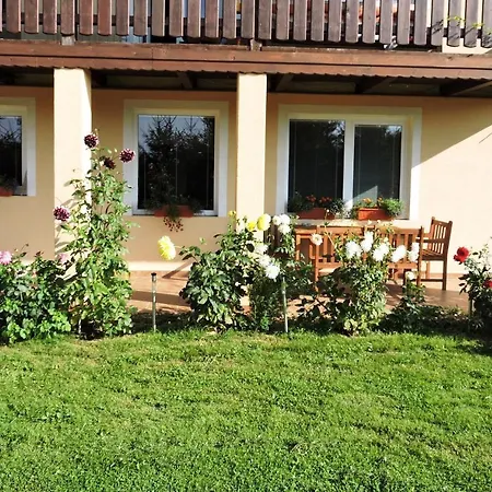 Apartment Borovi *