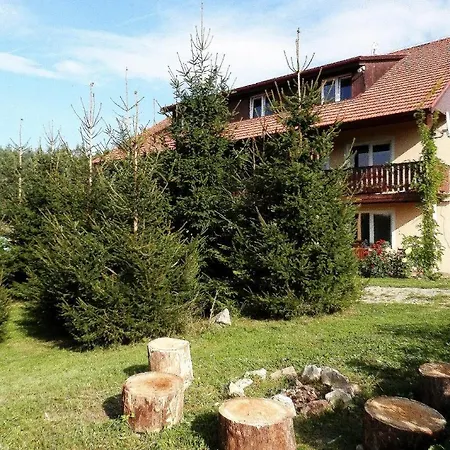 Apartment Borovi