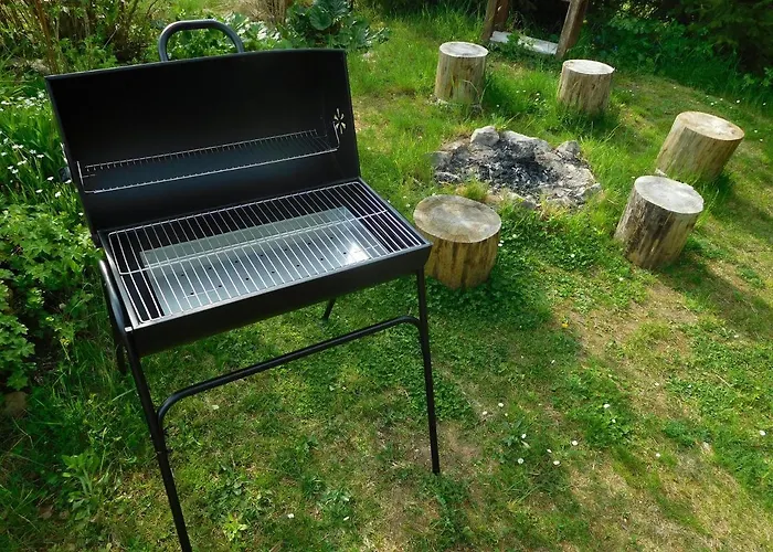 Borovi קארלשטיין