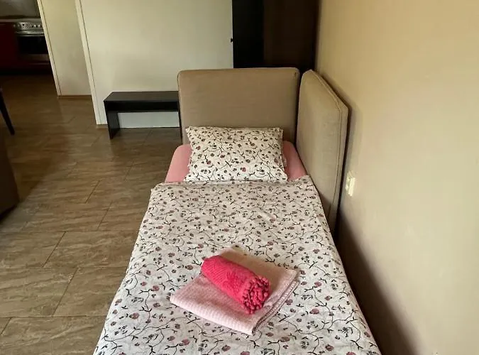 Borovi דירה קארלשטיין