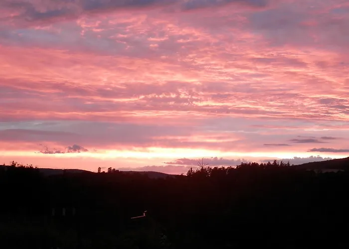 Borovi קארלשטיין