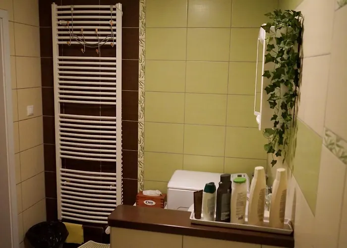 Borovi קארלשטיין